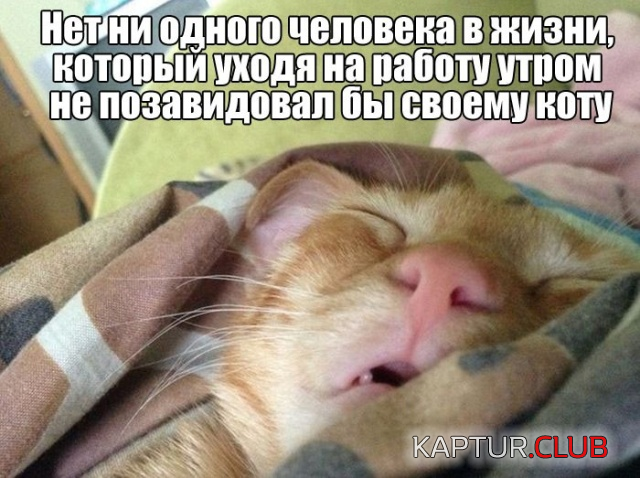 untitled.png | Рено Каптур Клуб Россия | Форум KAPTUR.SU