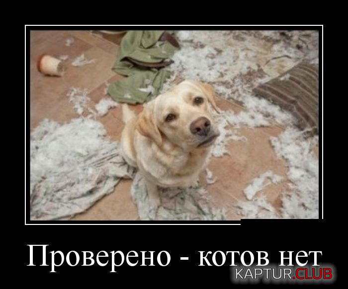 untitled.png | Рено Каптур Клуб Россия | Форум KAPTUR.SU