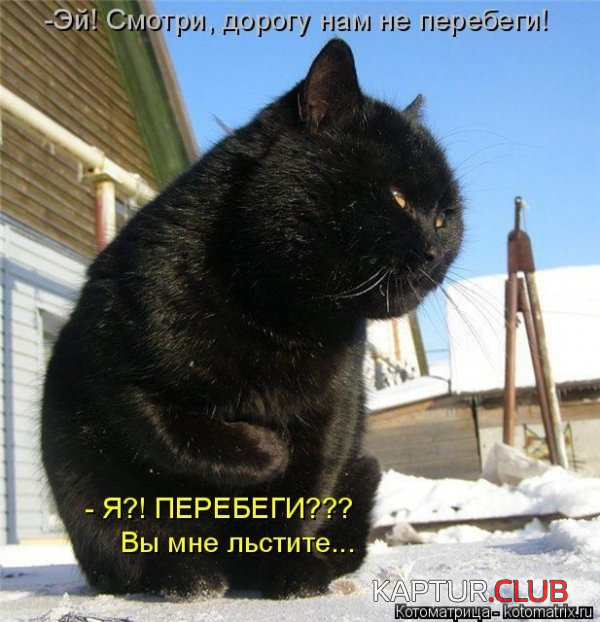untitled.png | Рено Каптур Клуб Россия | Форум KAPTUR.SU