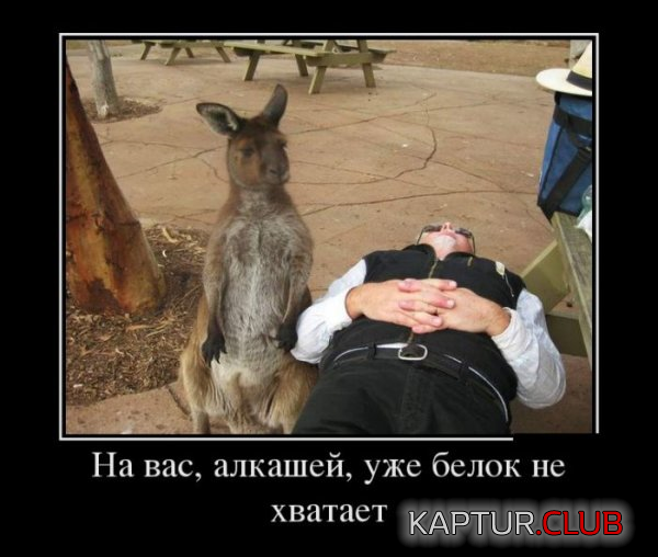 untitled.png | Рено Каптур Клуб Россия | Форум KAPTUR.SU