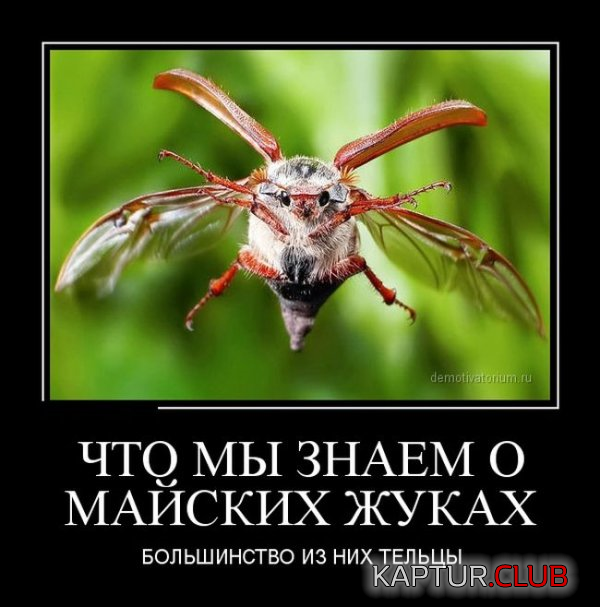 untitled.png | Рено Каптур Клуб Россия | Форум KAPTUR.SU