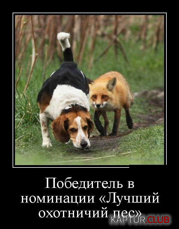 untitled.png | Рено Каптур Клуб Россия | Форум KAPTUR.SU