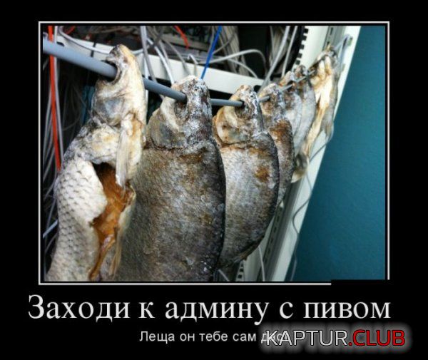 untitled.png | Рено Каптур Клуб Россия | Форум KAPTUR.SU