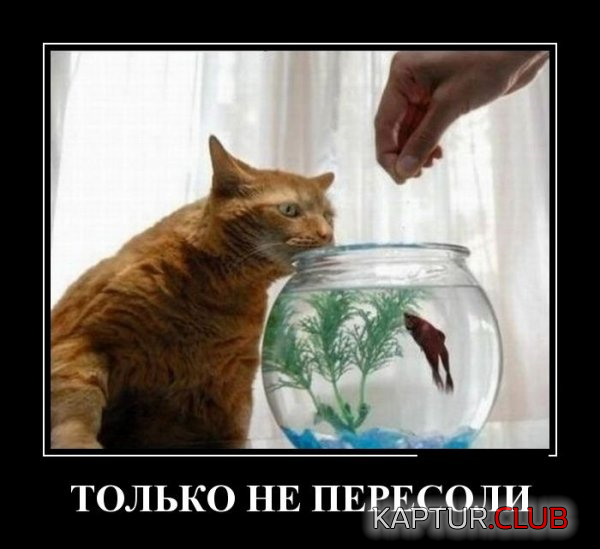 untitled.png | Рено Каптур Клуб Россия | Форум KAPTUR.SU