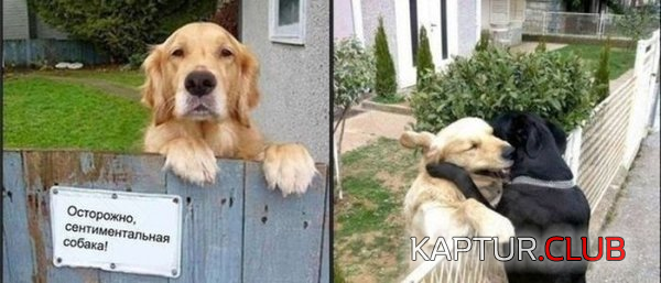 untitled.png | Рено Каптур Клуб Россия | Форум KAPTUR.SU