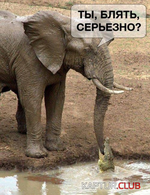 untitled.png | Рено Каптур Клуб Россия | Форум KAPTUR.SU