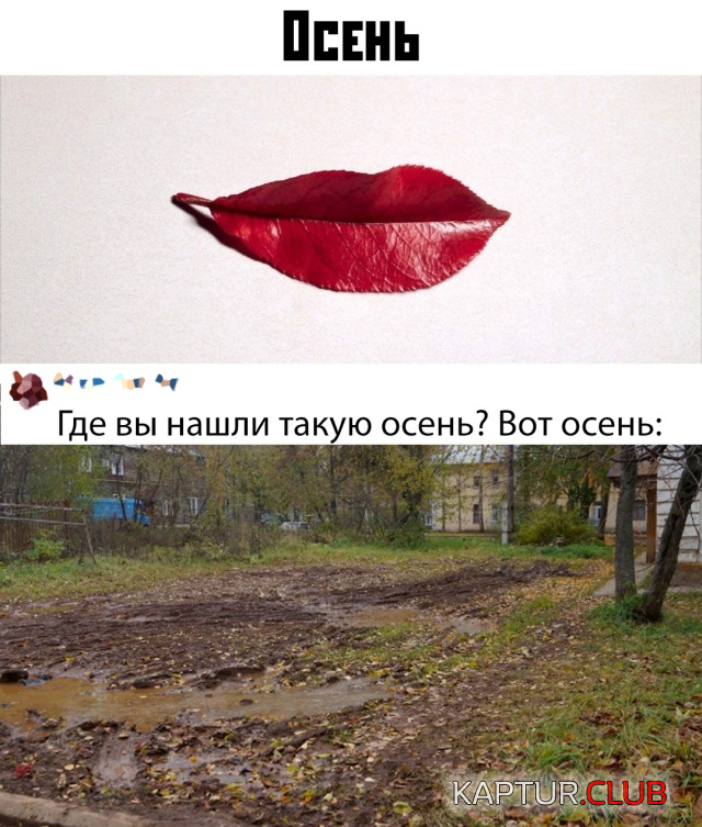 untitled.png | Рено Каптур Клуб Россия | Форум KAPTUR.SU