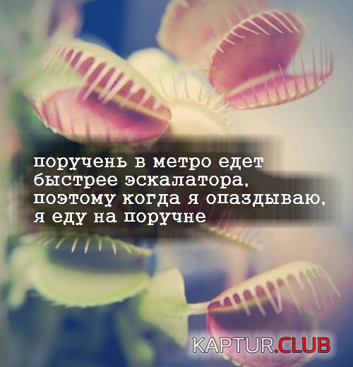 untitled.png | Рено Каптур Клуб Россия | Форум KAPTUR.SU