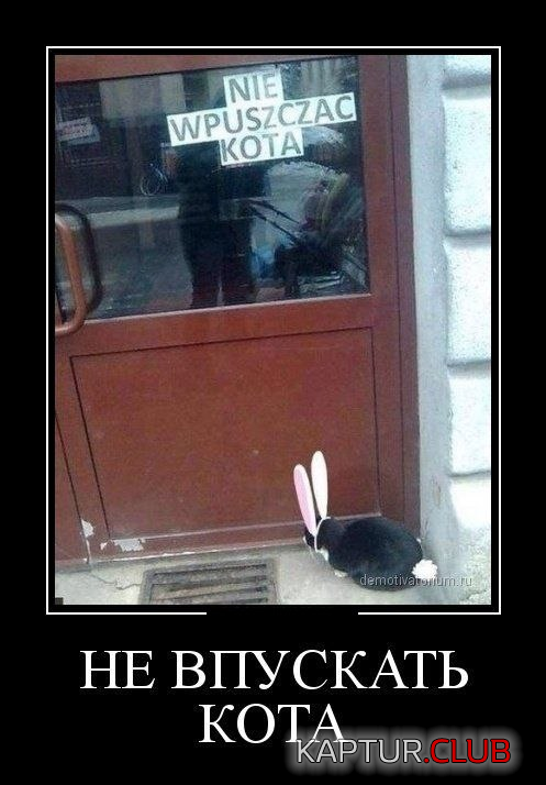 untitled.png | Рено Каптур Клуб Россия | Форум KAPTUR.SU