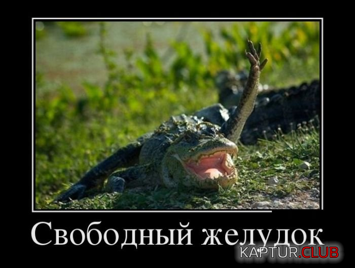 untitled.png | Рено Каптур Клуб Россия | Форум KAPTUR.SU