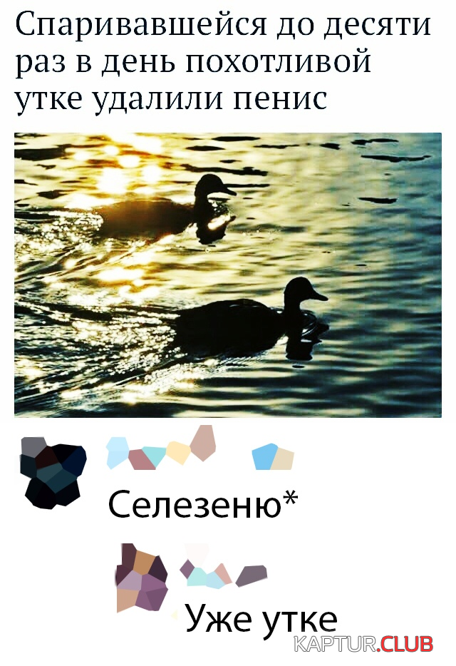 untitled.png | Рено Каптур Клуб Россия | Форум KAPTUR.SU