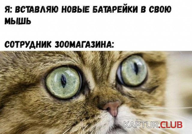 untitled.png | Рено Каптур Клуб Россия | Форум KAPTUR.SU
