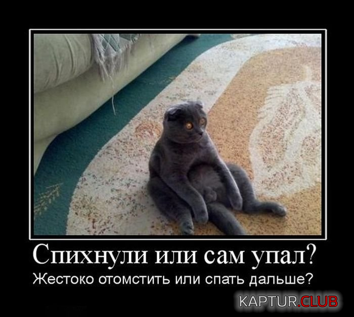 untitled.png | Рено Каптур Клуб Россия | Форум KAPTUR.SU