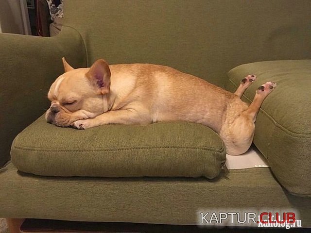 upload_2017-11-14_10-44-3.jpeg | Рено Каптур Клуб Россия | Форум KAPTUR.SU