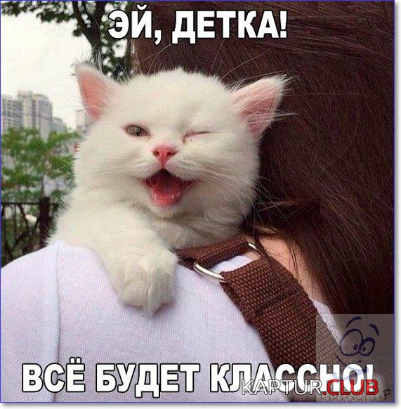 upload_2017-11-15_16-3-5.jpeg | Рено Каптур Клуб Россия | Форум KAPTUR.SU