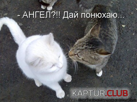 upload_2017-11-16_8-56-22.jpeg | Рено Каптур Клуб Россия | Форум KAPTUR.SU