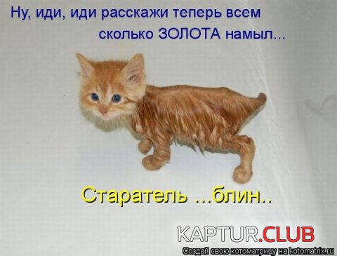 upload_2017-11-16_8-59-18.jpeg | Рено Каптур Клуб Россия | Форум KAPTUR.SU