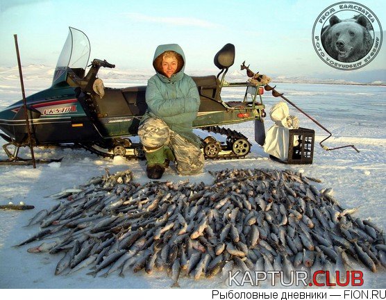 upload_2017-11-20_15-23-6.jpeg | Рено Каптур Клуб Россия | Форум KAPTUR.SU