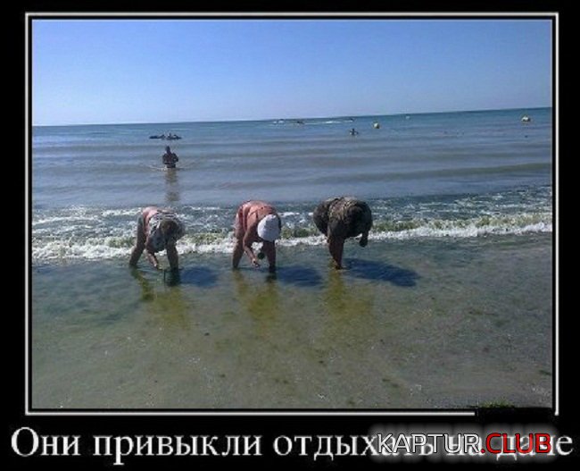 upload_2017-11-21_10-42-50.jpeg | Рено Каптур Клуб Россия | Форум KAPTUR.SU