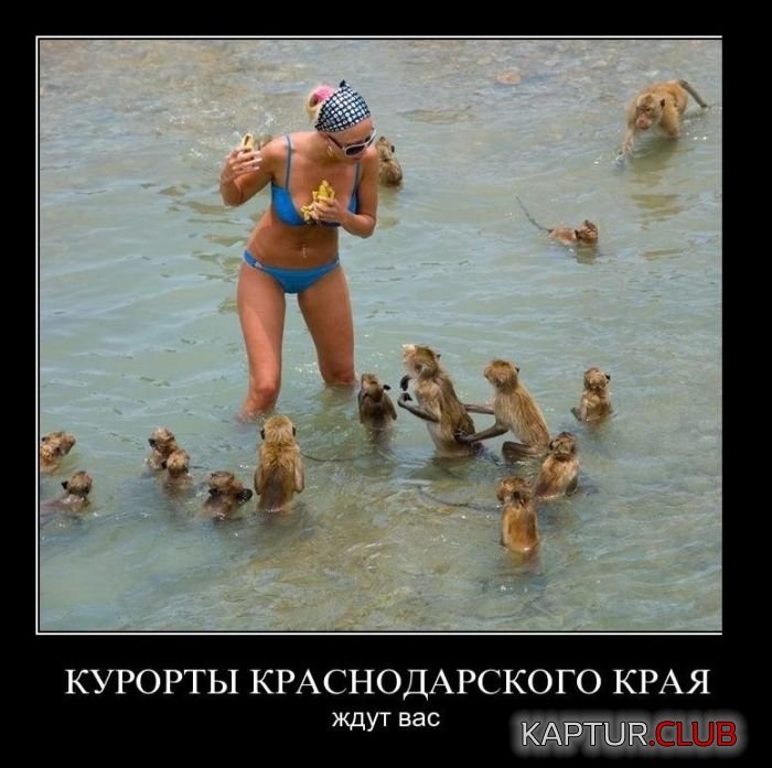 upload_2017-11-21_10-44-17.jpeg | Рено Каптур Клуб Россия | Форум KAPTUR.SU