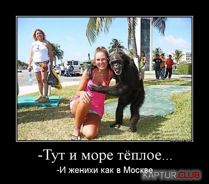 upload_2017-11-21_10-47-24.jpeg | Рено Каптур Клуб Россия | Форум KAPTUR.SU