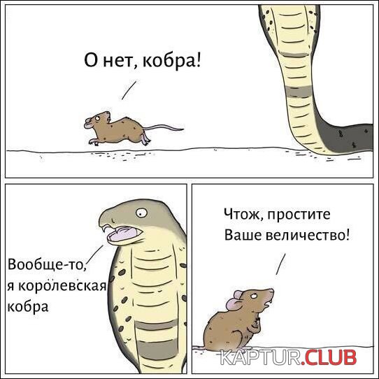 upload_2017-11-21_19-12-33.jpeg | Рено Каптур Клуб Россия | Форум KAPTUR.SU