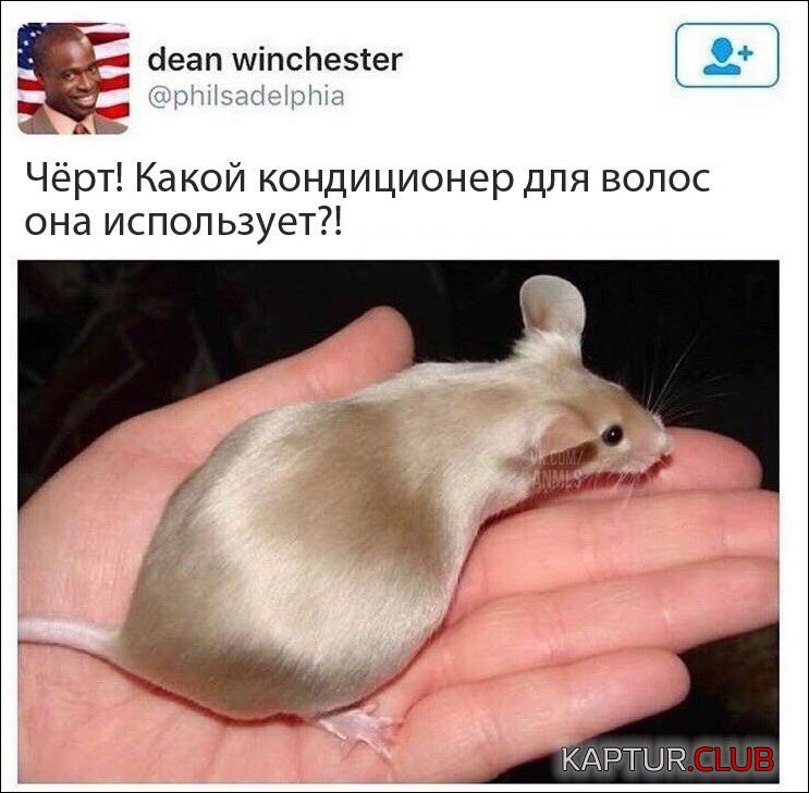 upload_2017-11-21_19-20-10.jpeg | Рено Каптур Клуб Россия | Форум KAPTUR.SU