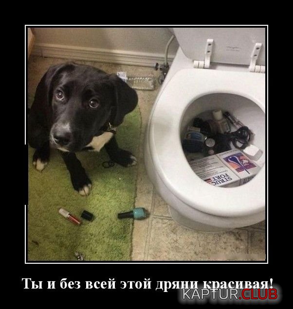 upload_2017-11-21_19-32-28.jpeg | Рено Каптур Клуб Россия | Форум KAPTUR.SU