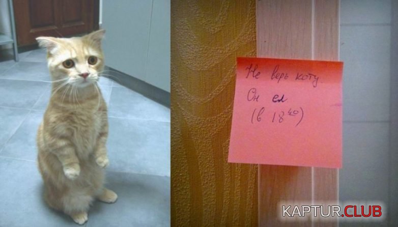 upload_2017-11-22_21-48-3.jpeg | Рено Каптур Клуб Россия | Форум KAPTUR.SU