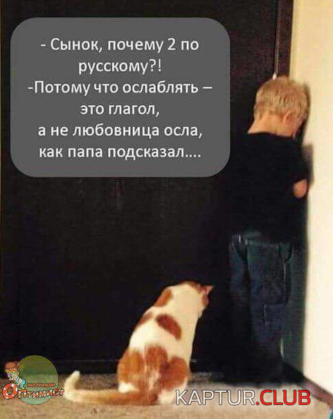 upload_2017-12-13_12-9-37.png | Рено Каптур Клуб Россия | Форум KAPTUR.SU