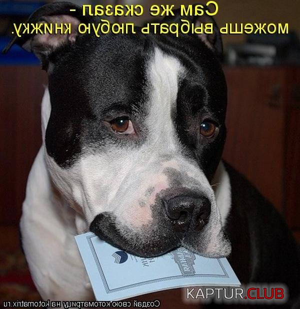 upload_2017-12-1_15-3-33.jpeg | Рено Каптур Клуб Россия | Форум KAPTUR.SU