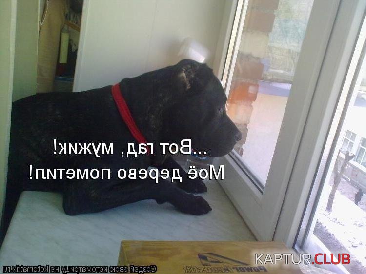 upload_2017-12-1_15-4-7.jpeg | Рено Каптур Клуб Россия | Форум KAPTUR.SU