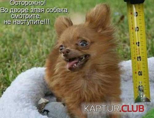 upload_2017-12-1_15-6-2.jpeg | Рено Каптур Клуб Россия | Форум KAPTUR.SU