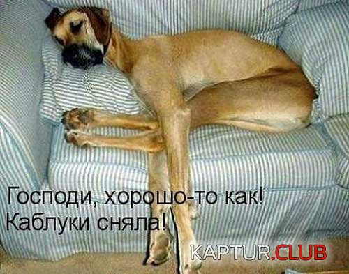 upload_2017-12-1_15-6-32.jpeg | Рено Каптур Клуб Россия | Форум KAPTUR.SU