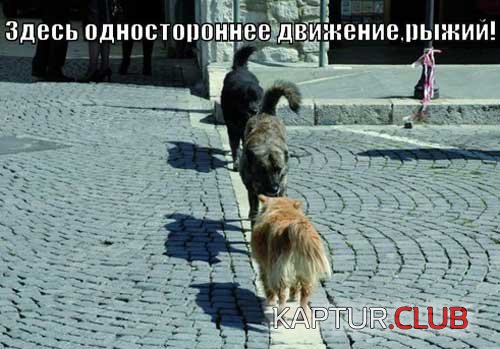 upload_2017-12-1_15-7-4.jpeg | Рено Каптур Клуб Россия | Форум KAPTUR.SU