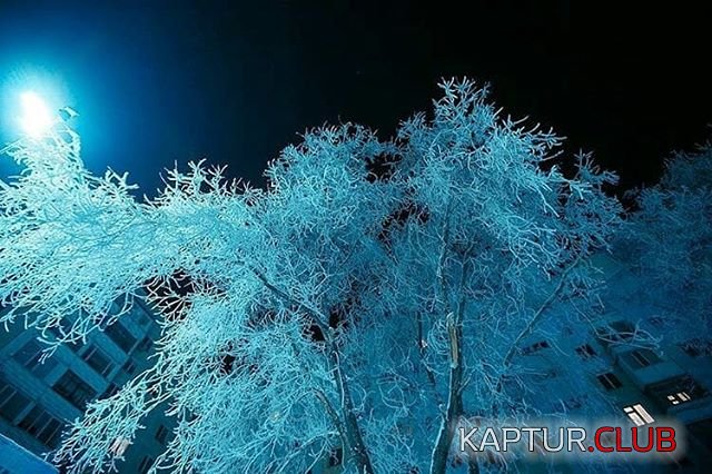 upload_2017-12-25_20-50-48.jpeg | Рено Каптур Клуб Россия | Форум KAPTUR.SU