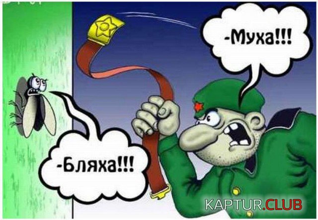 upload_2017-5-15_11-53-35.jpeg | Рено Каптур Клуб Россия | Форум KAPTUR.SU