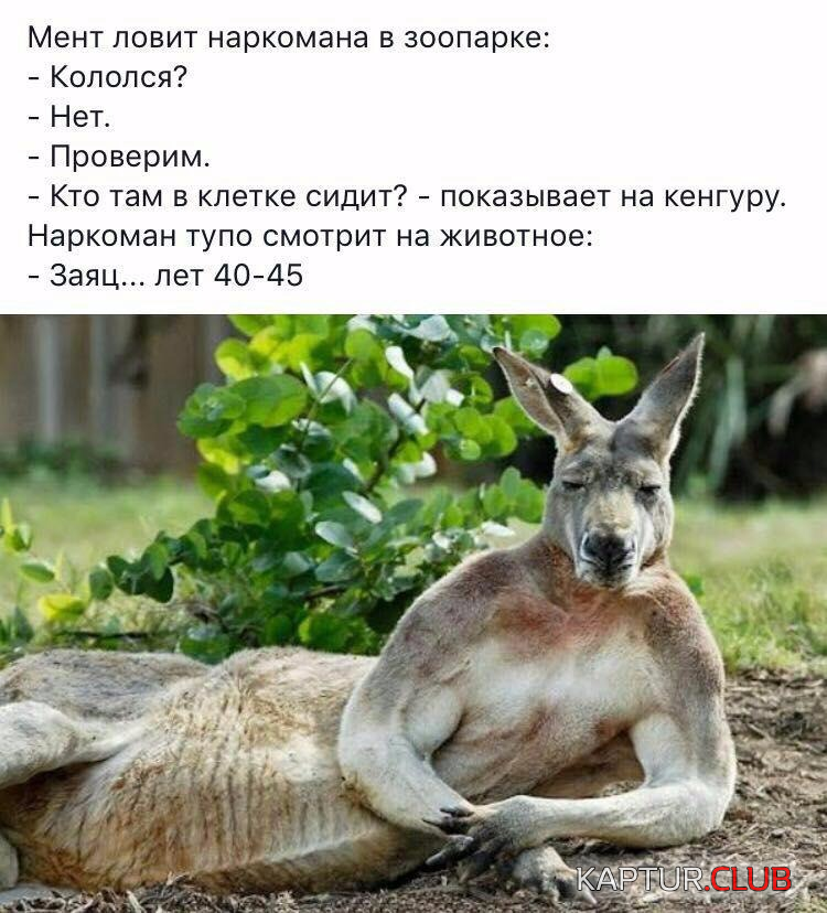 upload_2018-2-7_9-46-50.png | Рено Каптур Клуб Россия | Форум KAPTUR.SU