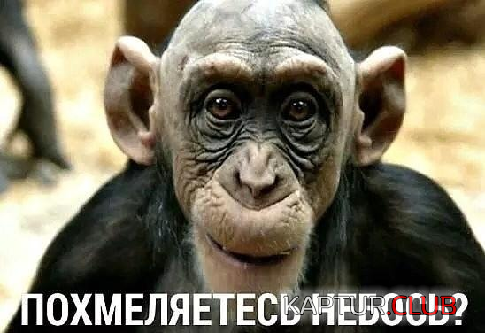 upload_2019-1-2_12-4-37.png | Рено Каптур Клуб Россия | Форум KAPTUR.SU