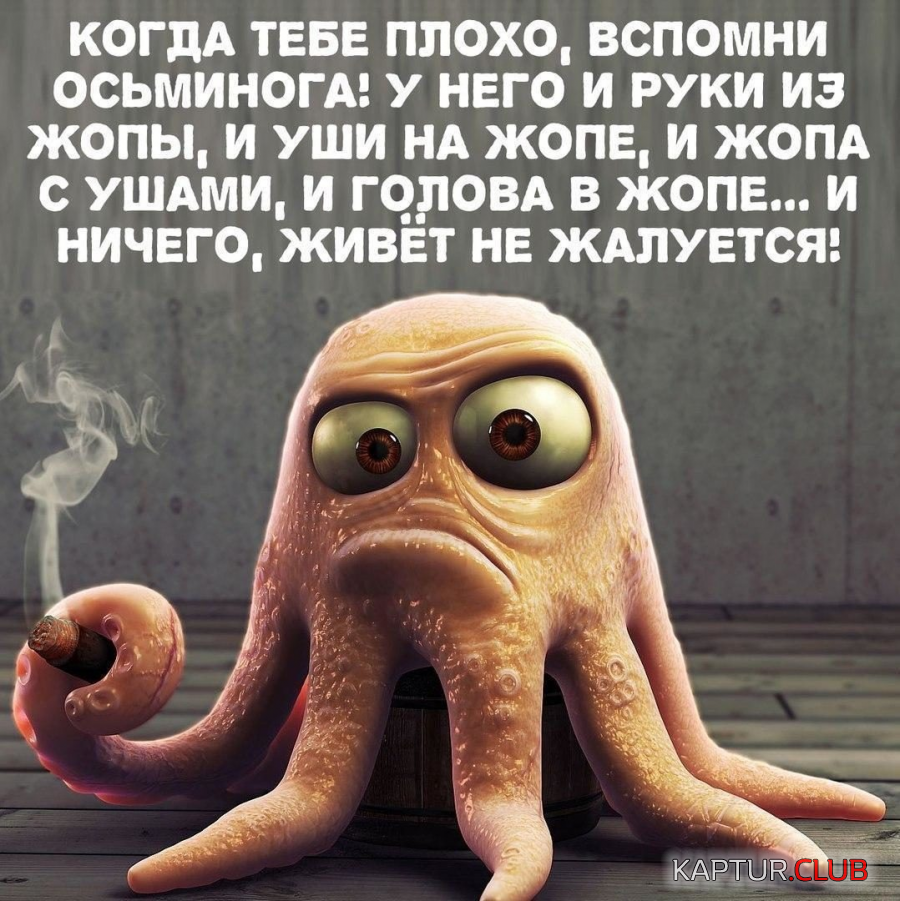 upload_2019-4-18_20-9-39.png | Рено Каптур Клуб Россия | Форум KAPTUR.SU