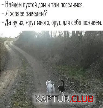 upload_2019-6-7_9-29-9.png | Рено Каптур Клуб Россия | Форум KAPTUR.SU