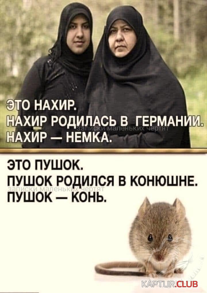 upload_2021-11-22_21-27-55.jpeg | Рено Каптур Клуб Россия | Форум KAPTUR.SU