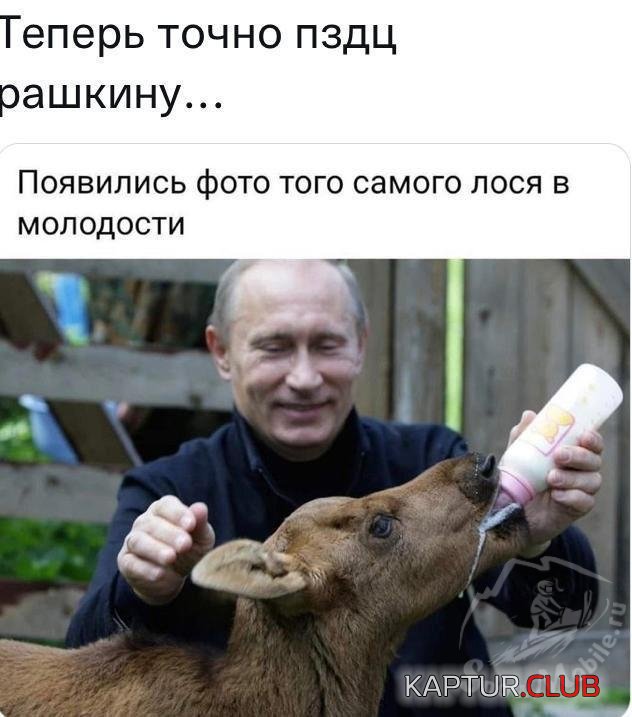 upload_2021-11-29_17-25-45.jpeg | Рено Каптур Клуб Россия | Форум KAPTUR.SU