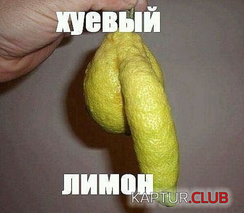 upload_2021-2-22_22-34-45.png | Рено Каптур Клуб Россия | Форум KAPTUR.SU