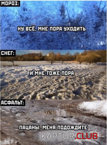 upload_2021-3-5_14-28-23.png | Рено Каптур Клуб Россия | Форум KAPTUR.SU