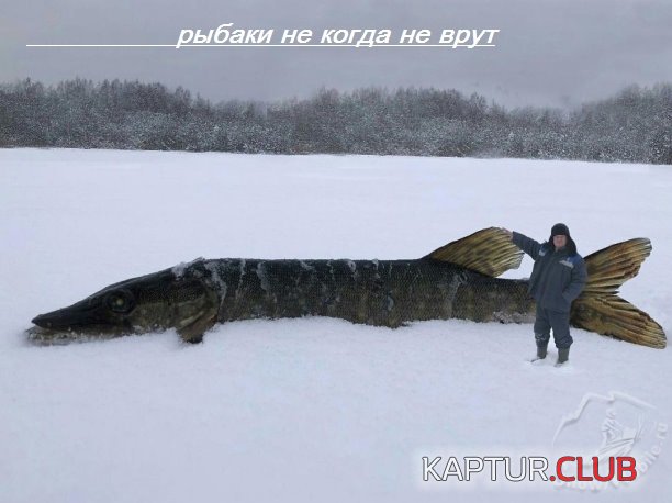 upload_2022-1-14_19-9-9.jpeg | Рено Каптур Клуб Россия | Форум KAPTUR.SU