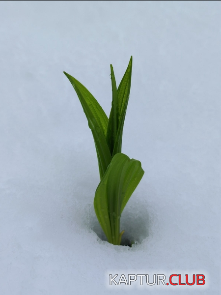 upload_2022-5-23_14-18-14.png | Рено Каптур Клуб Россия | Форум KAPTUR.SU