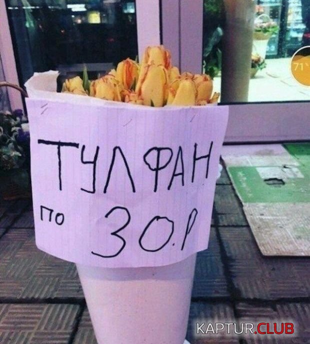 v_rossii_19.jpg | Рено Каптур Клуб Россия | Форум KAPTUR.SU