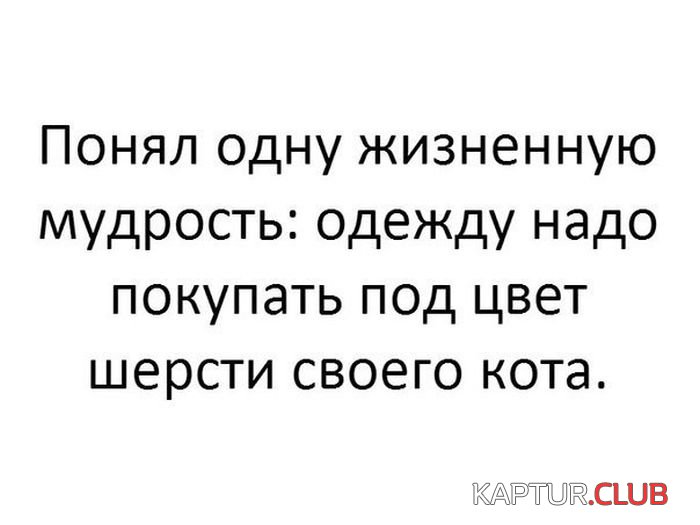 veselie_kartinki_06.jpg | Рено Каптур Клуб Россия | Форум KAPTUR.SU