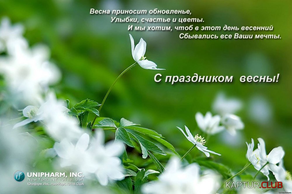весна-3.jpg | Рено Каптур Клуб Россия | Форум KAPTUR.SU